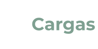 sincargas.com